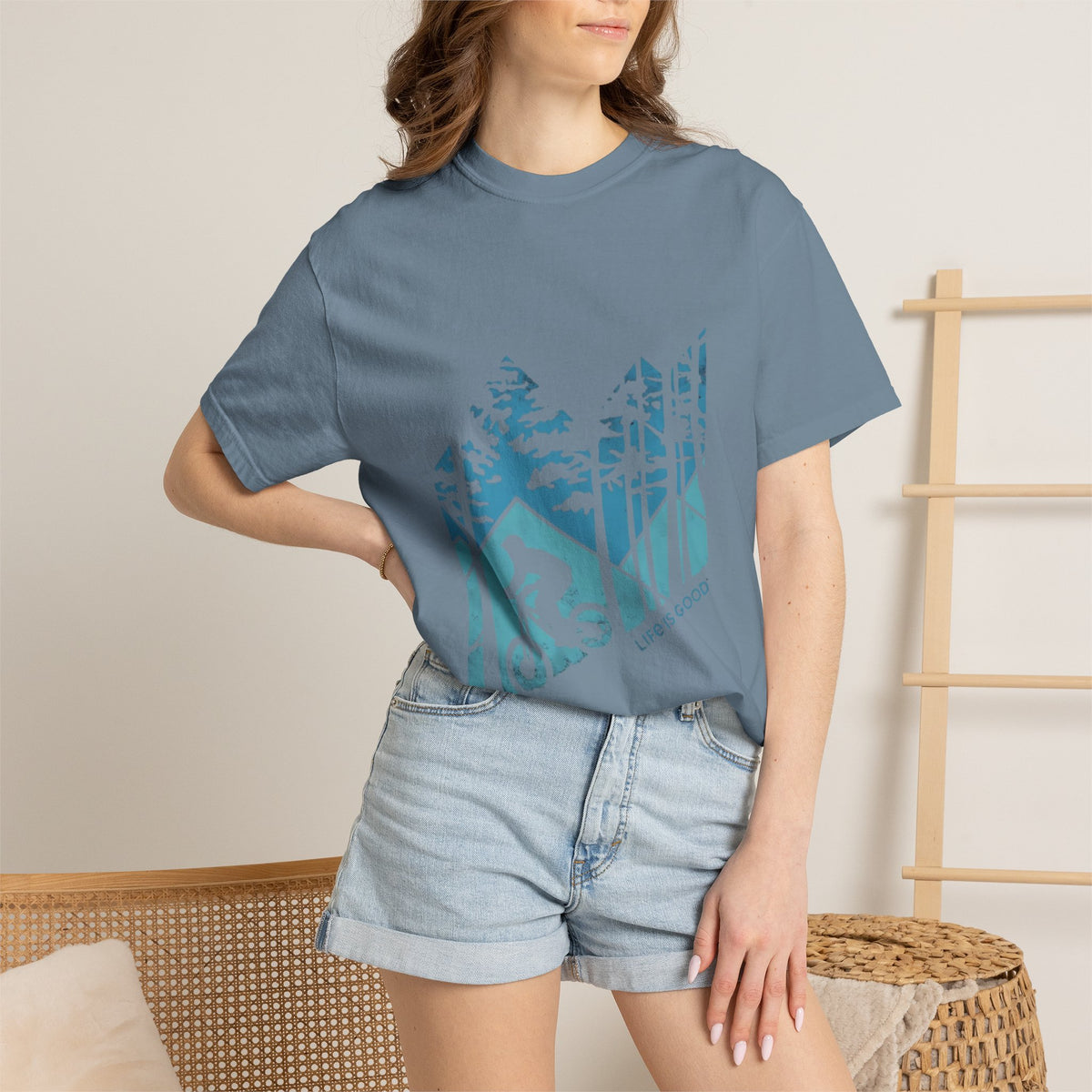 Denali National Park Graphic Tee